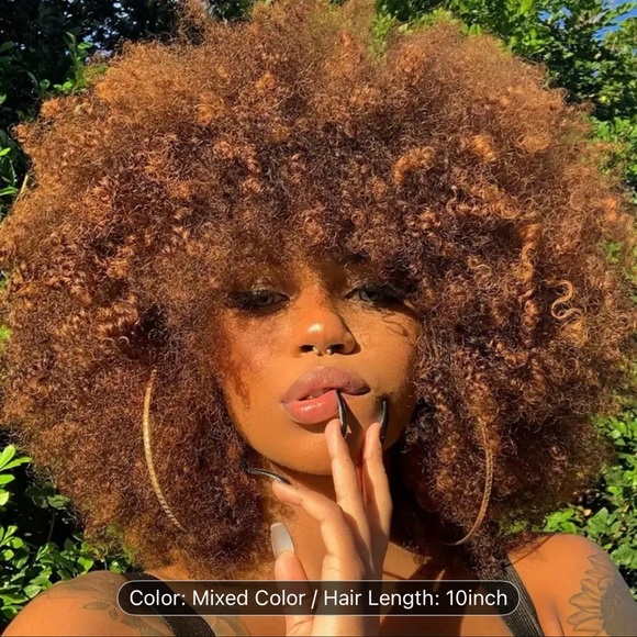Other - Brown Full Curly Afro Wig